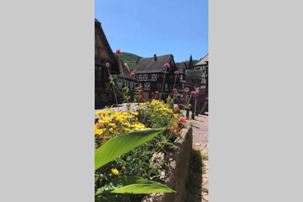 Coeur Alsace Leilighet Colmar Eksteriør bilde