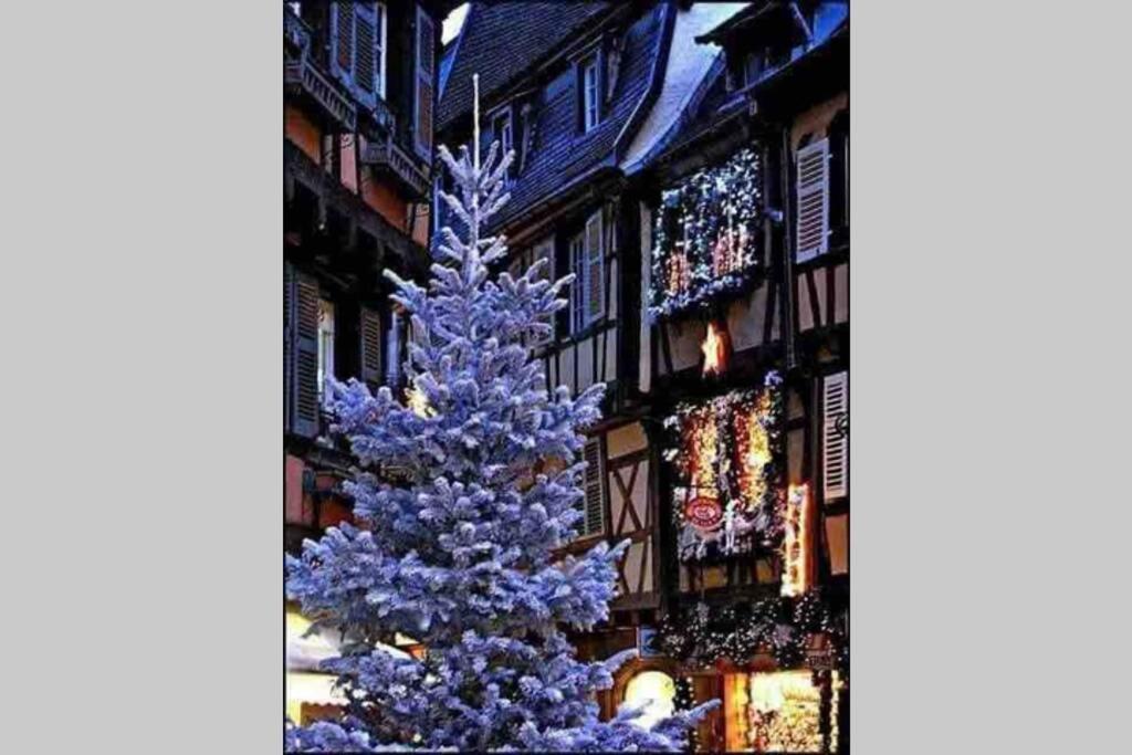 Coeur Alsace Leilighet Colmar Eksteriør bilde
