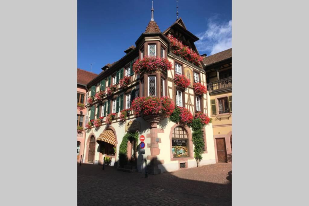 Coeur Alsace Leilighet Colmar Eksteriør bilde