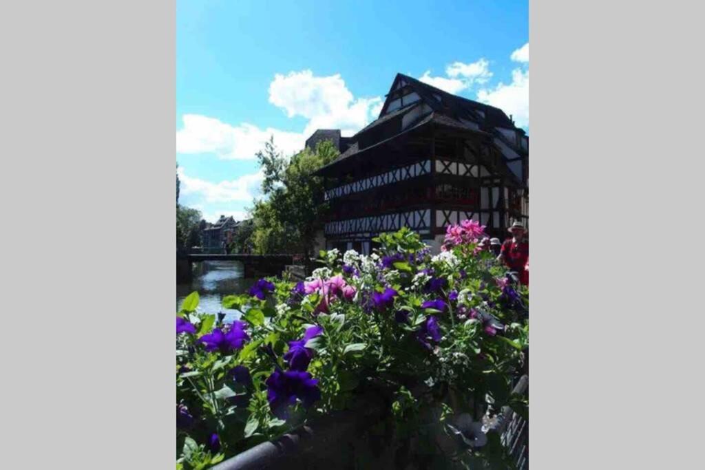 Coeur Alsace Leilighet Colmar Eksteriør bilde