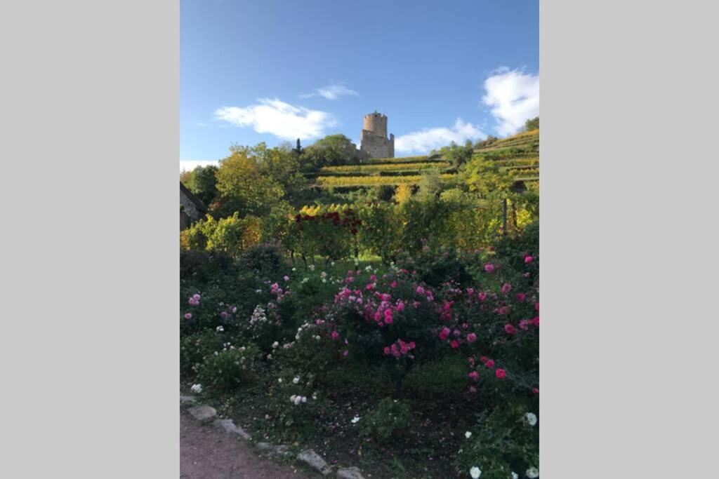 Coeur Alsace Leilighet Colmar Eksteriør bilde