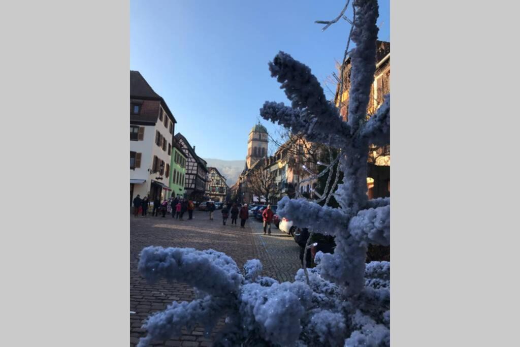 Coeur Alsace Leilighet Colmar Eksteriør bilde