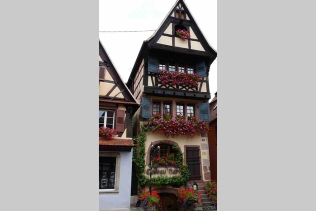 Coeur Alsace Leilighet Colmar Eksteriør bilde