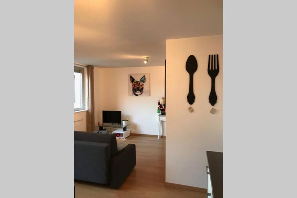 Coeur Alsace Leilighet Colmar Eksteriør bilde