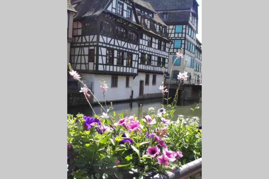 Coeur Alsace Leilighet Colmar Eksteriør bilde